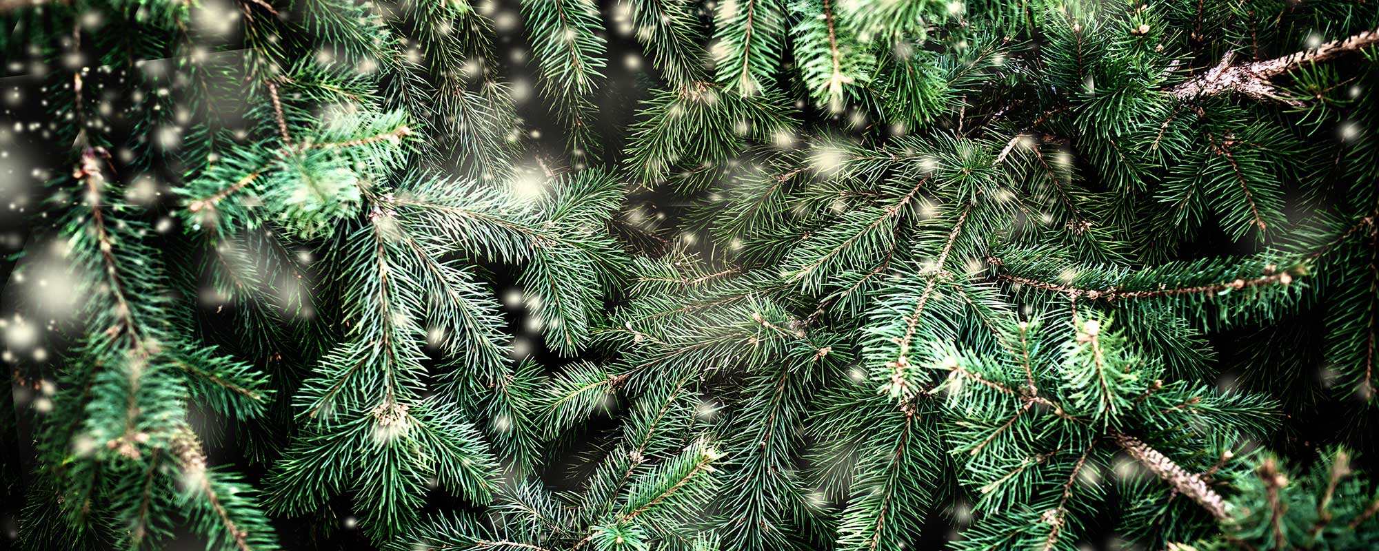 christmas-slide