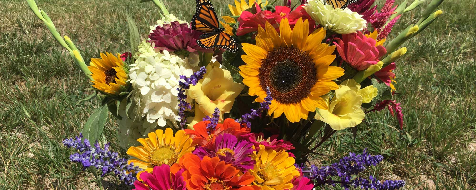 test-flowers