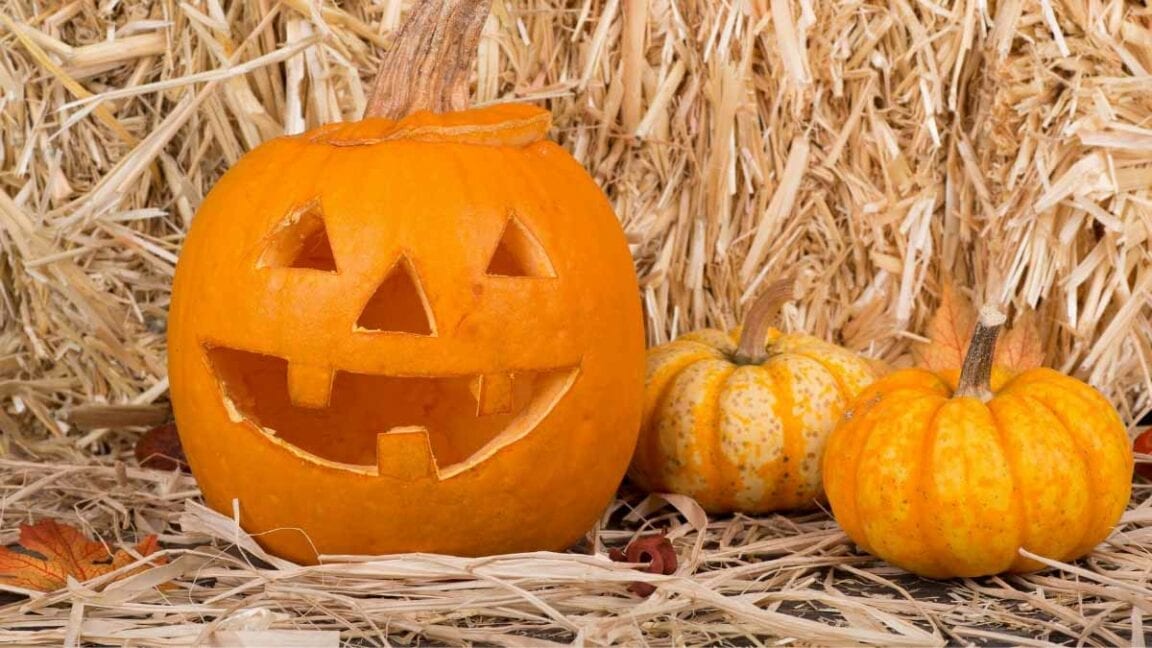 Follow these pumpkin carving tips for aMAZEing Jack O' Lanterns!