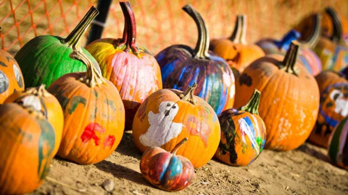 Create awesome, long-lasting pumpkins without the mess!