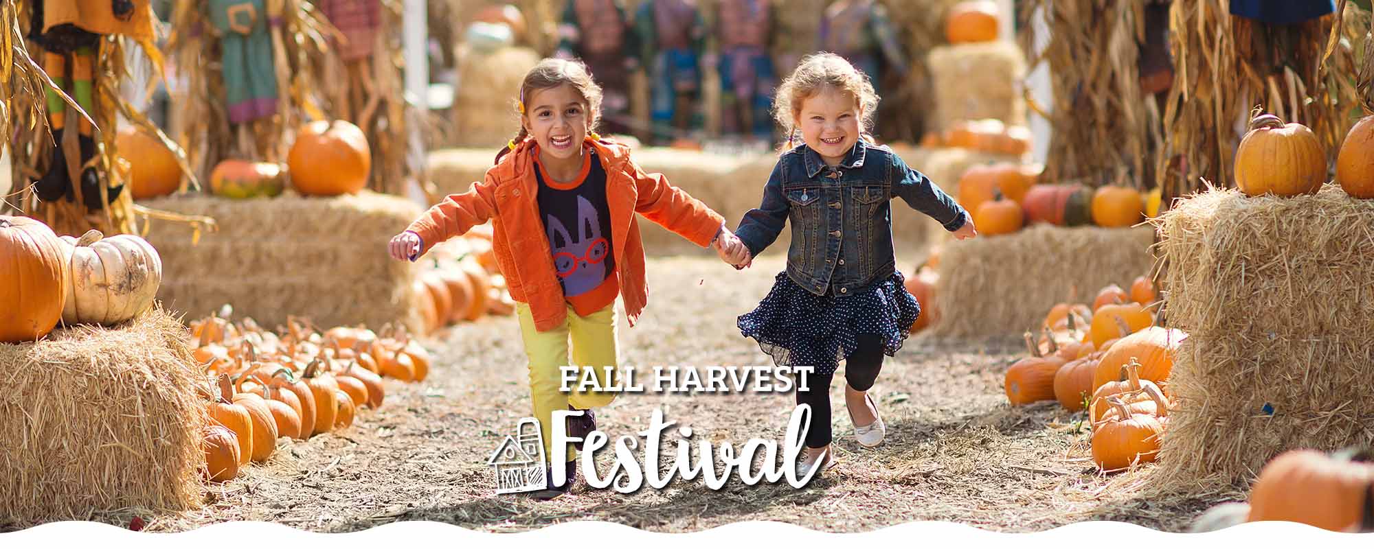 Fall Festival - Falcon Ridge Farm