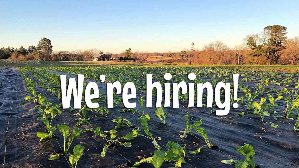 We are looking for hard-working motivated individuals to help us out here at the farm!