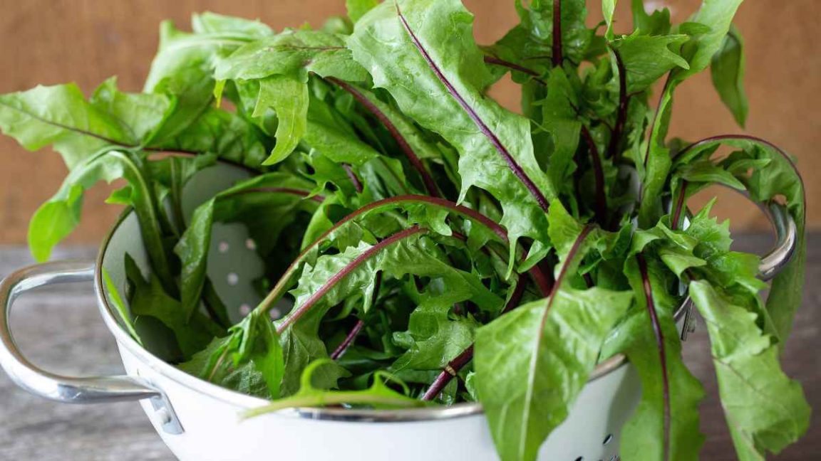 Dandelion greens are a delicious nutritional powerhouse!